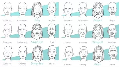 Bring your characters to life by learning how to ‘read’ and 'draw' facial expression.