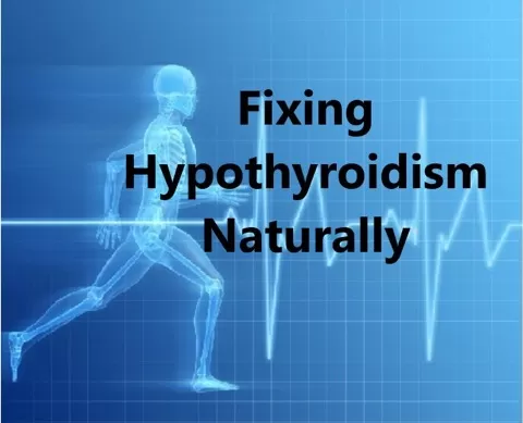 Hypothyroidism is more common today than ever before in history. When the thyroid gland is not functioning properly virtually every cell and function in the ...