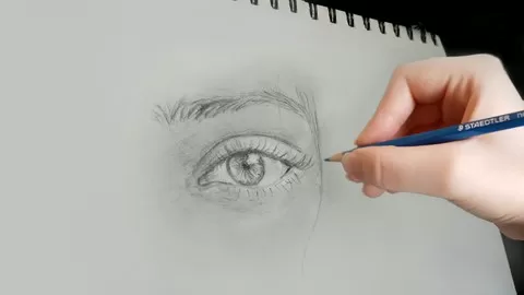 Join one of the best drawing courses for beginners!