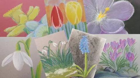 Sketching and drawing spring flowers with Soft Pastels