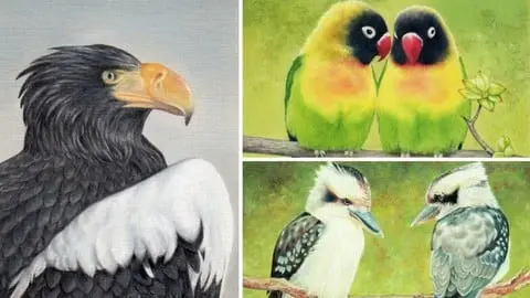 Learn how to draw 3 AMAZING bird pictures and discover the transformational benefits of drawing. Easy to follow videos.