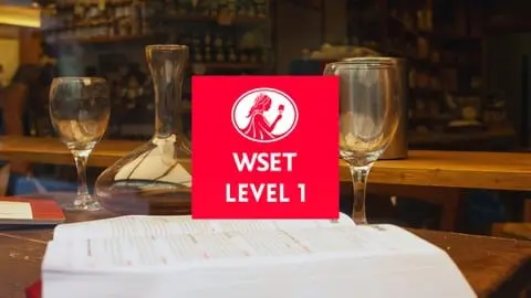 Ace the WSET Level 1 Exam!
