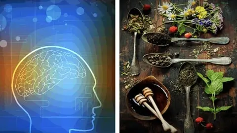 Ayurvedic Psychology & Wellbeing Through Ayurveda: Learn the Foundations of Medical Herbalism
