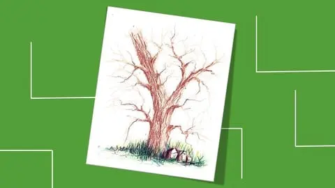 Setp by step you will learn how to draw a tree without leaves from a scratch