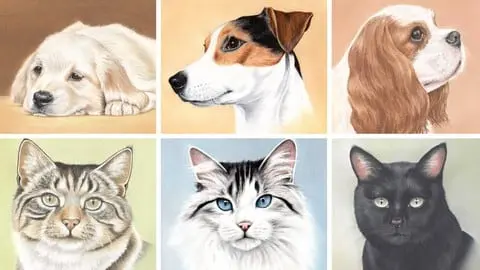 Learn to draw 6 pets in this drawing bundle. Use Pastel Pencils to create AMAZING Pet Portraits with Colin Bradley
