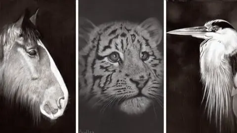 Learn how to paint AMAZING Wild Animals with just 4 Pastel Pencils. No Free-Hand Drawing. 3 Courses in 1!