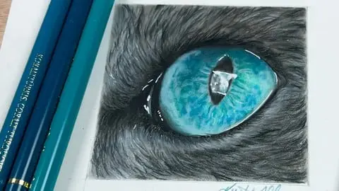 Learn How To Create Realistic Drawings In Colored Pencil