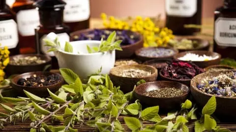 A Comprehensive Introduction to Western Herbalism