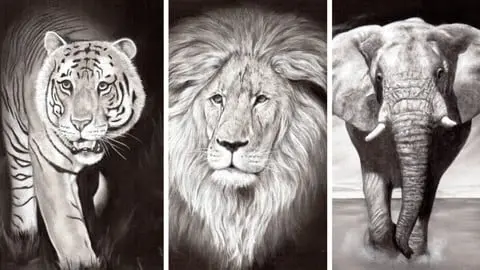 3 Paintings in 1! Learn how to draw STUNNING Wildlife Portraits using just 4 Pencils - NO free hand drawing necessary!
