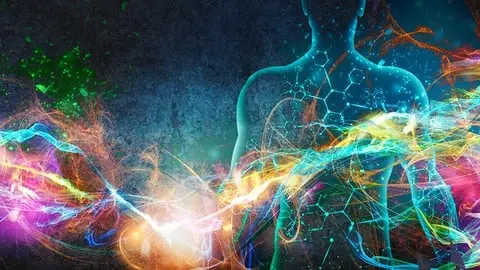 Re-educating Your Cells and DNA for Optimal Health Using the Science of Quantum Embodiment