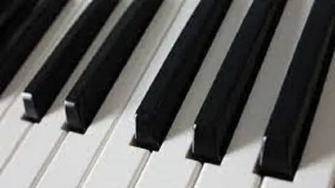 Beginner Piano Lesson
